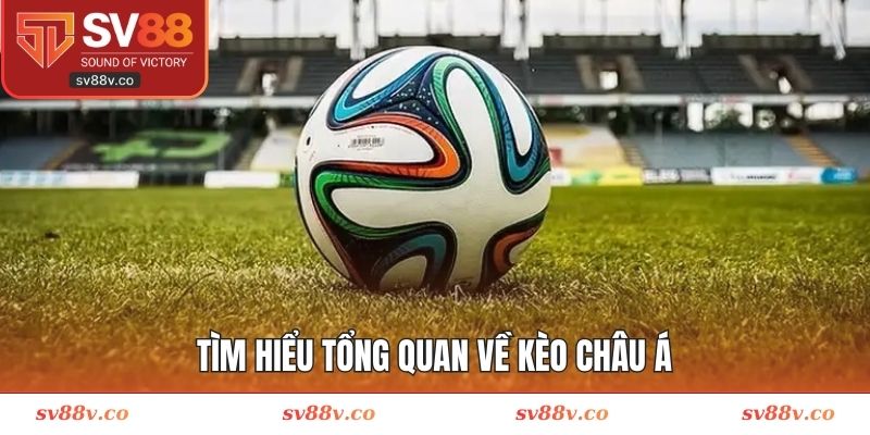 Khái quát thêm về tỷ lệ châu Á đang thịnh hành