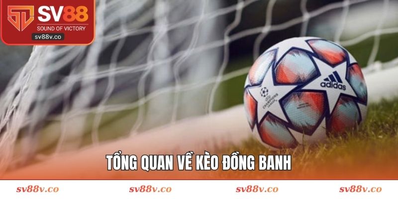 Khái quát sơ lược về hình thức tỷ lệ châu Á